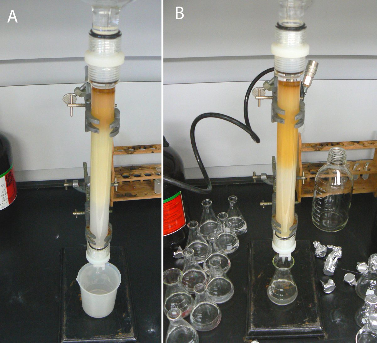 Synthetic Methyl Salicylate and You Phytochemia